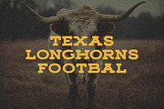 Carolina Cowgirl Slab, a Font by Callie Rian & Co. (Thumbnail 8 of 13)