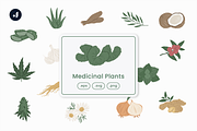 Medicinal Plants Illustration, an Object Graphic by Jump Studio (Thumbnail 1 of 4)