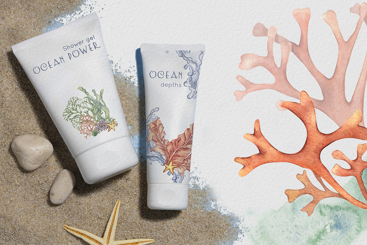 Sea plants watercolor collection, an Illustration by Kate Lanbina (Photo 10 of 18)