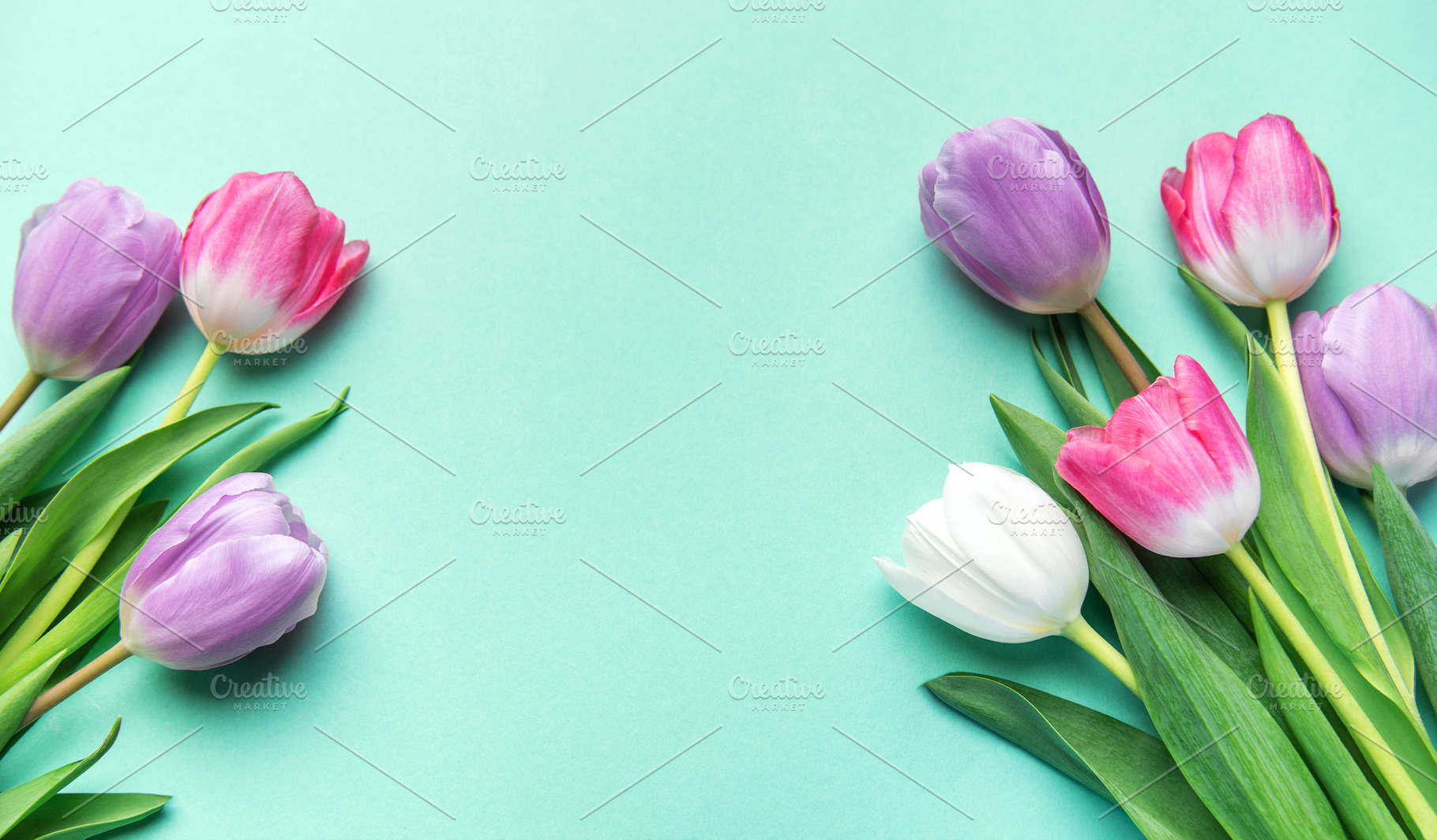Colorful tulips blooming on mint green background for spring, a Holiday Photo by Olena Rudo