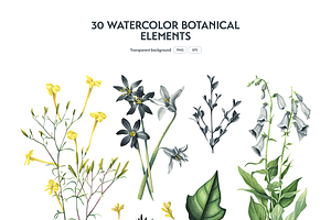 Botanical Watercolor Set