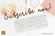 Anastasia a calligraphic font, a Script Font by Just Bia (Thumbnail 4 of 8)