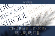 Borest - Elegant Roman Sans Serif, a Sans Serif Font by Flavortype (Thumbnail 15 of 21)