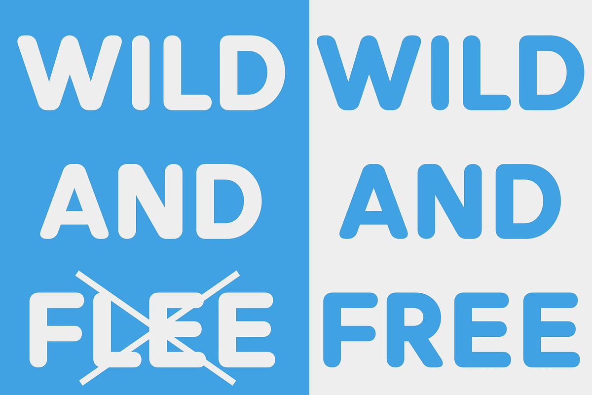 Radeil Rounded, a Sans Serif Font by Craft Supply Co. (Photo 2 of 8)