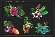 Tropical Watercolor Illustrations, an Illustration by Spring Break Jake (Thumbnail 19 of 19)