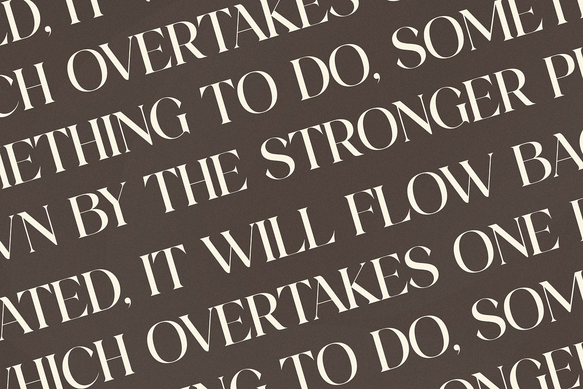 Adogare Modern Serif Font, a Serif Font by Storytype Studio (Photo 11 of 15)