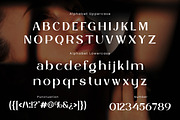 Balvier – Modern Luxury Sans Font, a Sans Serif Font by roomspace creative lab (Thumbnail 11 of 12)