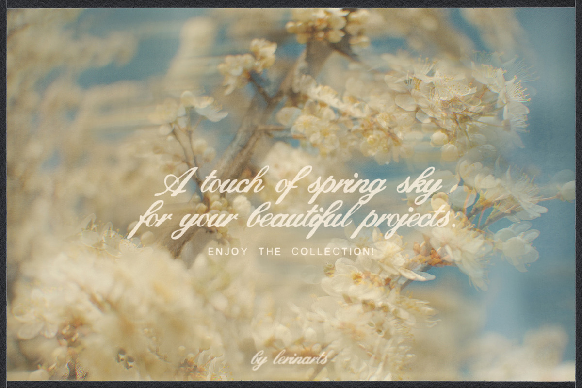 Plum Blossom Floral Backgrounds, a Background Graphic by lerinartstudio (Photo 11 of 11)