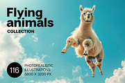 116 Flying animals, an Animal Photo by Handmadefont (Thumbnail 1 of 119)