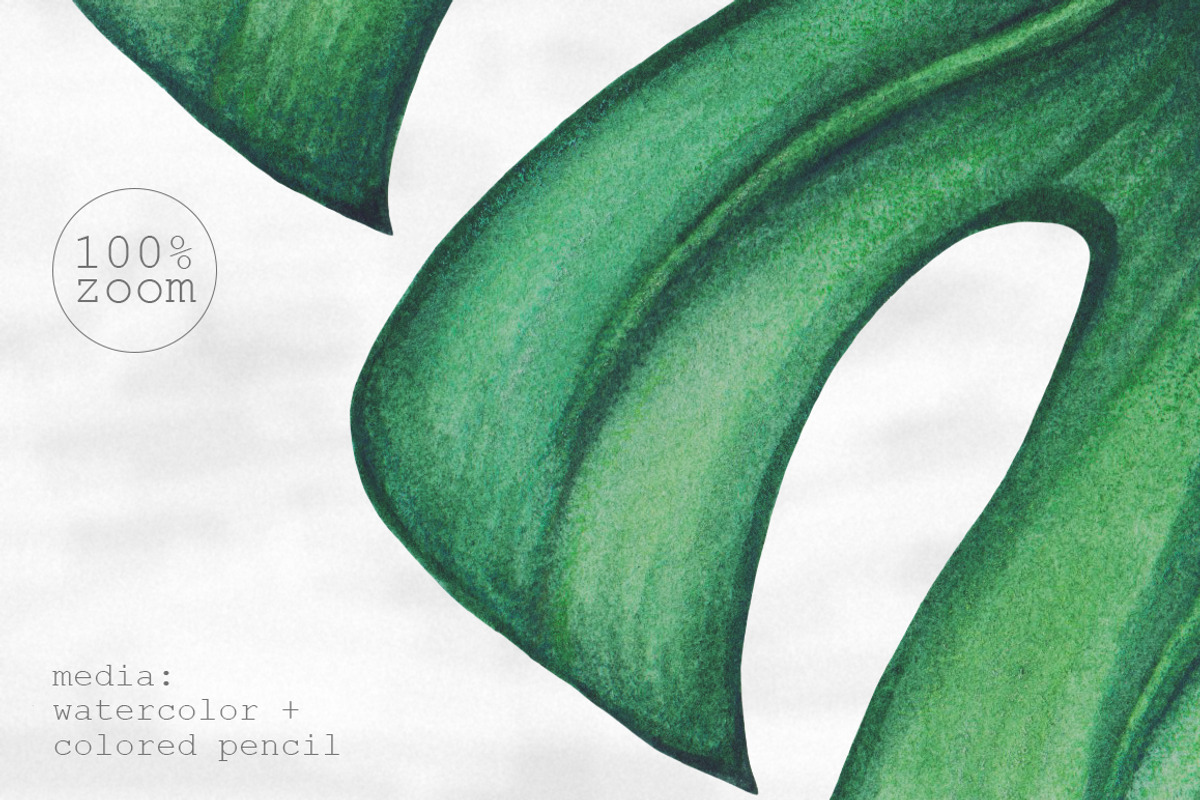 Palm tree leaves + patterns, a Decorative Illustration by Bigio Designs (Photo 3 of 4)