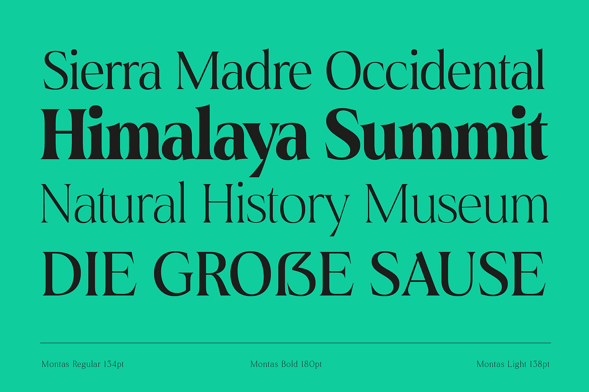 Montas - 7 Fonts, a Serif Font by Nasir Udin (Photo 8 of 16)