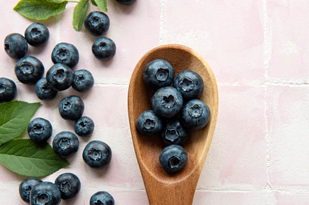 Blueberries on tile background, a Food & Drink Photo by Olena Rudo