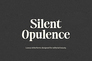 Maker's Serif Serif (30 Font), a Serif Font by Positive TypeFoundry (Thumbnail 5 of 16)