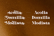 Astelin, a Serif Font by zaaintype (Thumbnail 3 of 15)