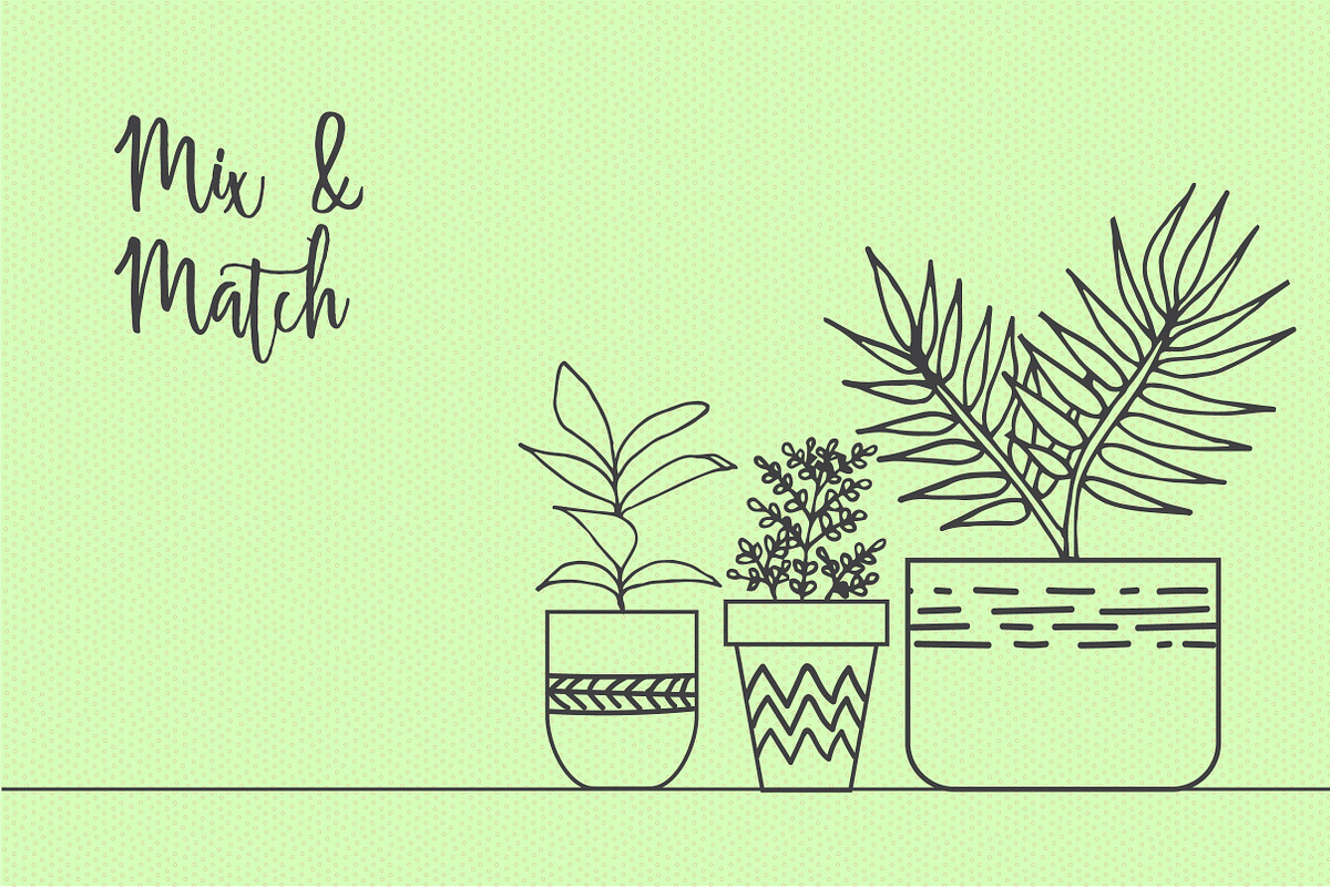 Hand Drawn House Plant Illustrations, an Illustration by Hannah Eliza Studio (Photo 4 of 5)