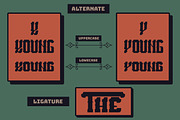 Kaishiva Display Font, a Script Font by IHDSTD (Thumbnail 6 of 9)