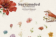 Watercolor Flower Collection, a Decorative Illustration by Damian Roh (Thumbnail 4 of 19)