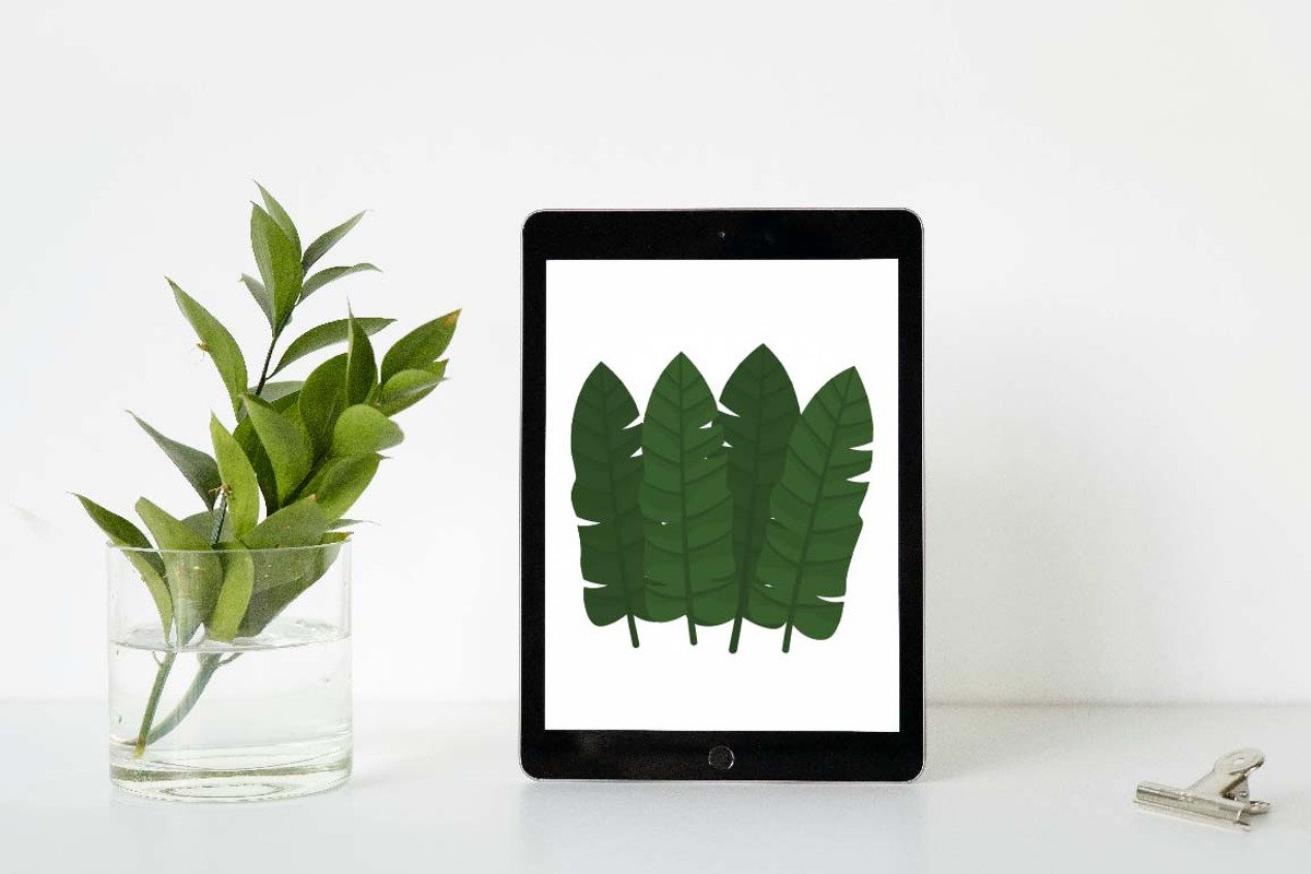 19 Tropical Leaves Foliage Plant, a Decorative Illustration by jongcreative (Photo 4 of 6)
