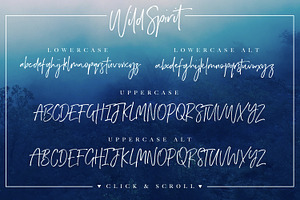 Wild Spirit Font