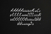 Romance Blossome Handwritten Font, a Handwritten Font by UICreative (Thumbnail 9 of 13)