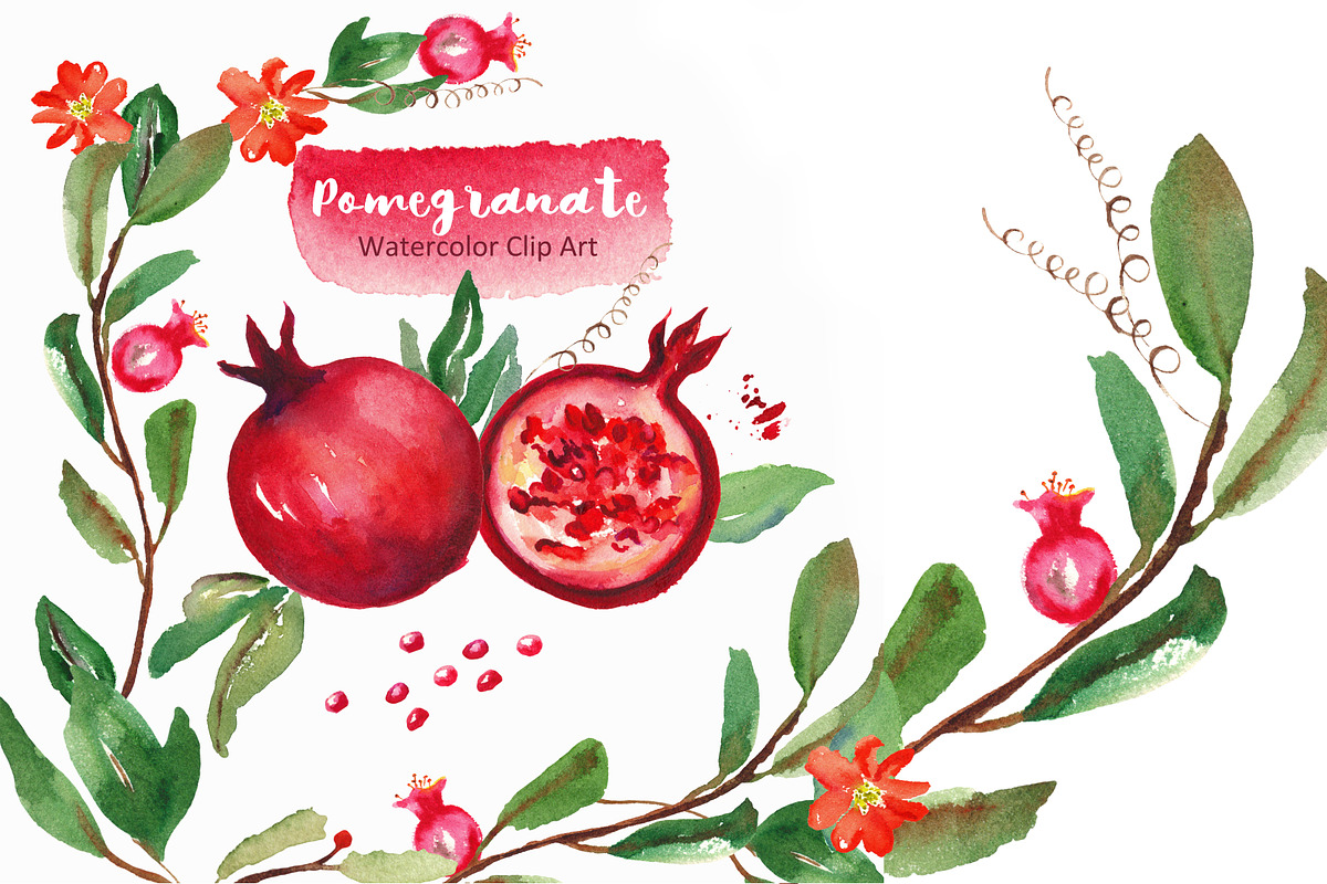 -98% Off Graphic Bundle 70 sets in 1, an Animal Illustration by LABFcreations (Photo 26 of 40)