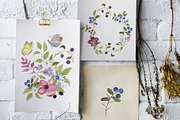 Wildflower & Butterfly Collection, a Decorative Illustration by Nadia Semyroz (Thumbnail 4 of 12)