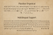 Placidus Notesho Retro Whimsical, a Handwritten Font by Sixtype (Thumbnail 7 of 10)