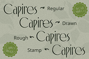 Capires Vintage, a Sans Serif Font by Craft Supply Co. (Thumbnail 7 of 8)