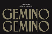 TNSC Gemino - Sans & Serif Typeface, a Serif Font by The Native Saint Club (Thumbnail 1 of 14)