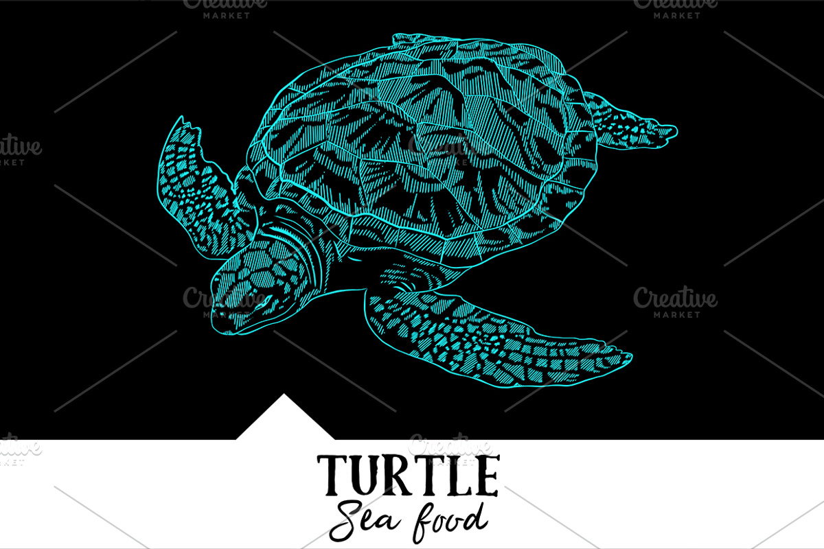 10 vector hand-drawn sea creatures, a Brochure Template by RichmanStudio (Photo 11 of 11)