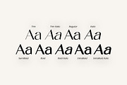 Sanctimony Elegant Serif Font, a Serif Font by UICreative (Thumbnail 10 of 13)