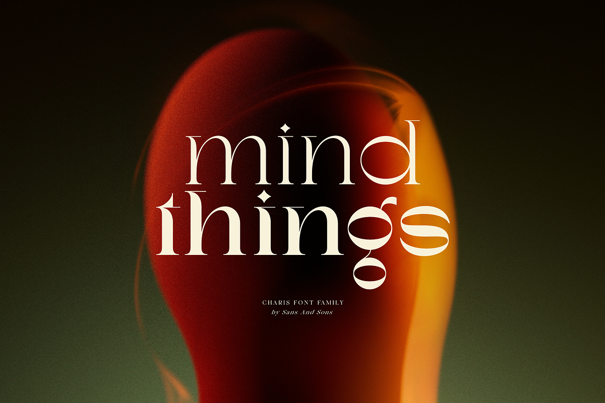 SNS Charis Font Family, a Serif Font by Sans & Sons (Photo 4 of 10)