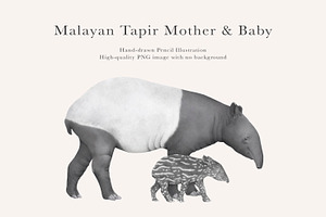 Mother & Baby Tapir Illustration