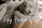 Einson Script Font, a Script Font by alphadesign (Thumbnail 5 of 5)