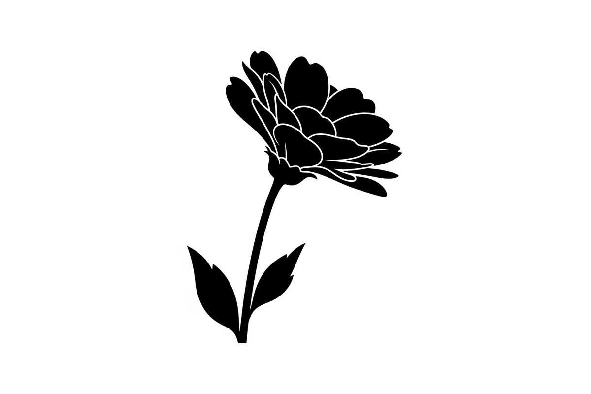 Floral Ornament Silhouette Bundle, an Illustration by BIPLOB EXPERT (Photo 51 of 51)