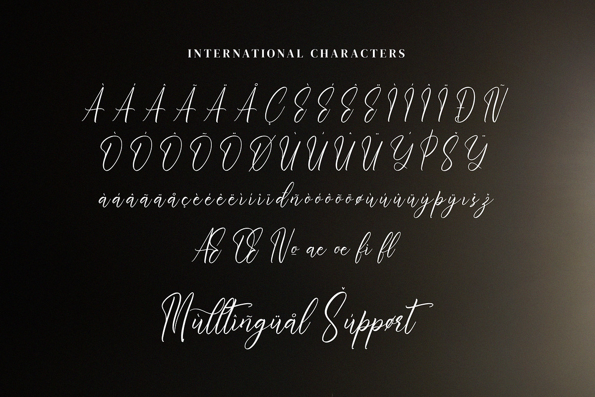 Whitesnight, a Script Font by Goresan Studio (Photo 11 of 15)