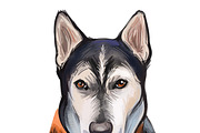 Dogs Cross Breeds 56 Animals Bundle, an Animal Illustration by Dneprstock (Thumbnail 15 of 55)