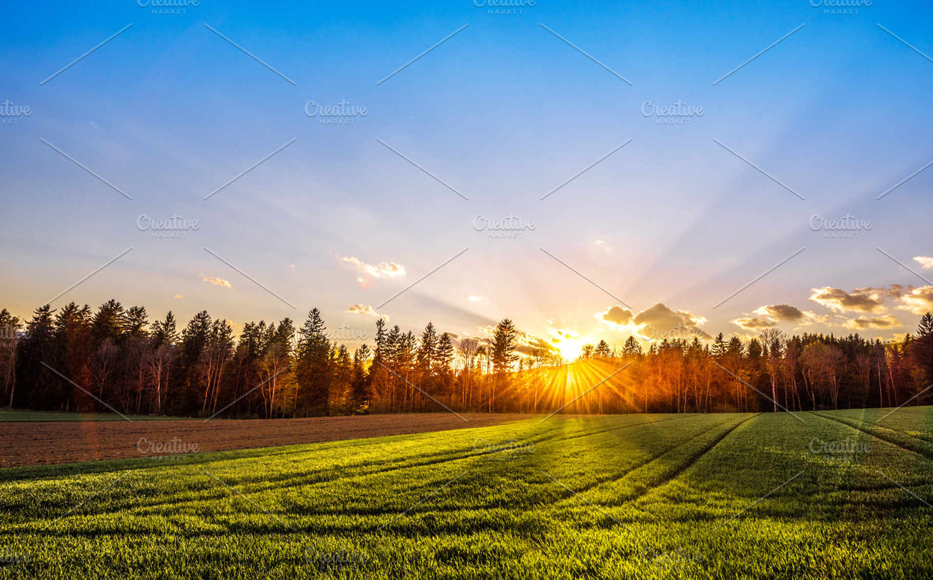 Sunrise at the country, a Nature Photo by ChristianThür Photography