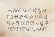 Saphira Amarilli Beauty Handwritten, a Script Font by gracetype_studio (Thumbnail 10 of 12)