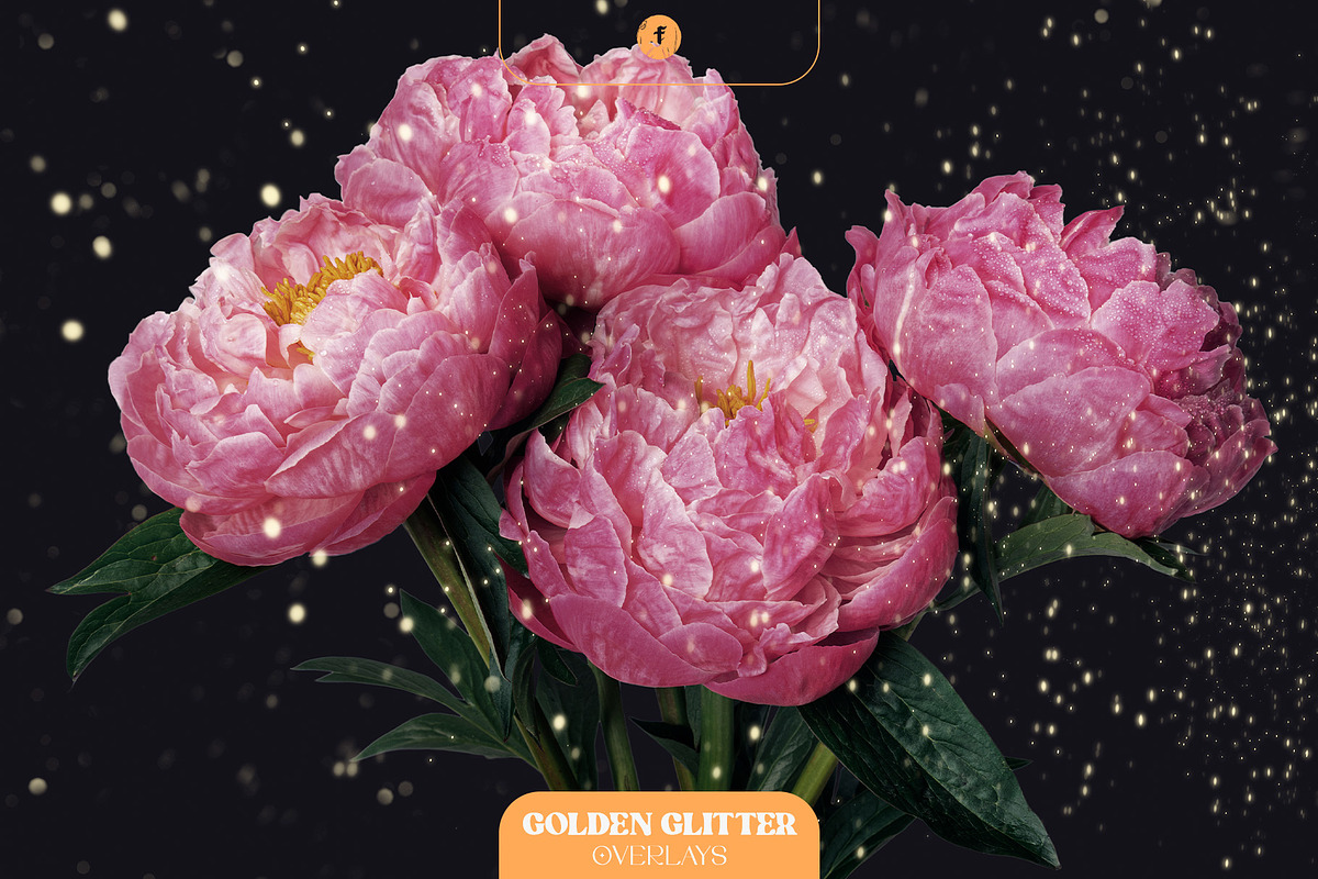 Golden Glitter Overlays, a Texture Graphic by Freezerondigital (Photo 7 of 16)