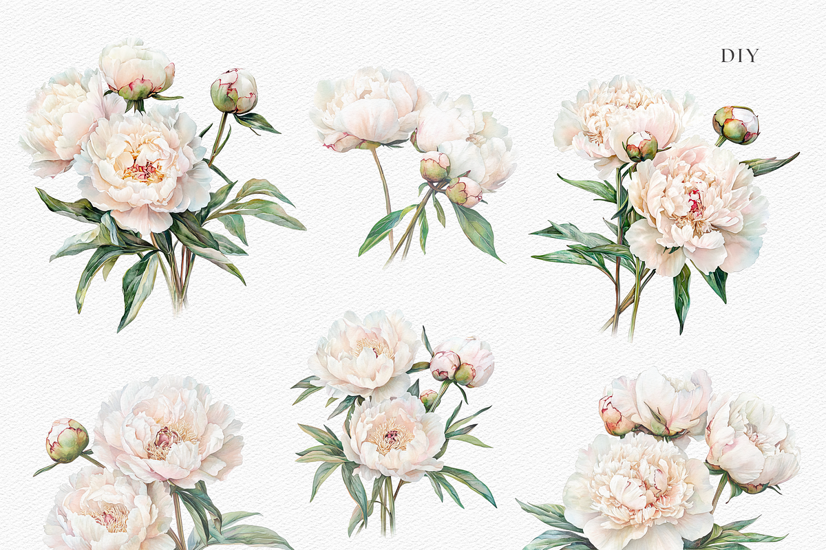 Peony Blush - Watercolor, a Decorative Illustration by ThaismotaCreativeCo (Photo 4 of 11)