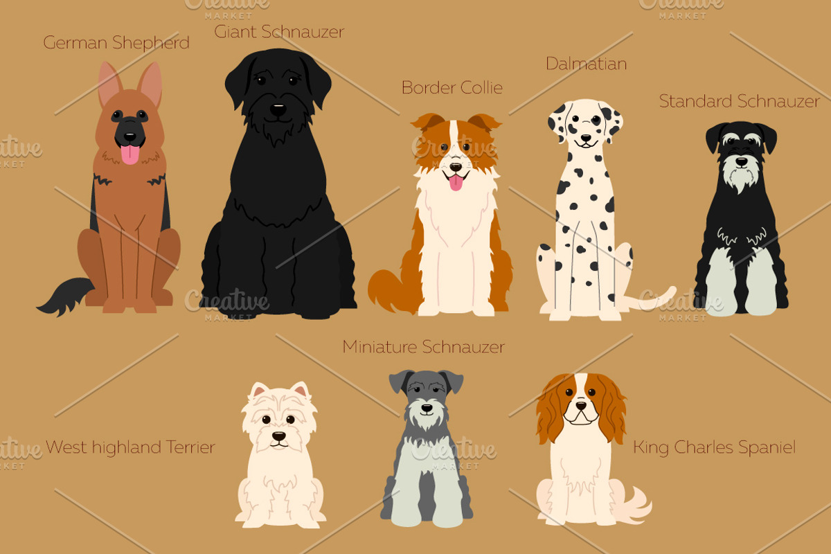 Collection of different dogs, an Illustration by Mallinka (Photo 8 of 8)