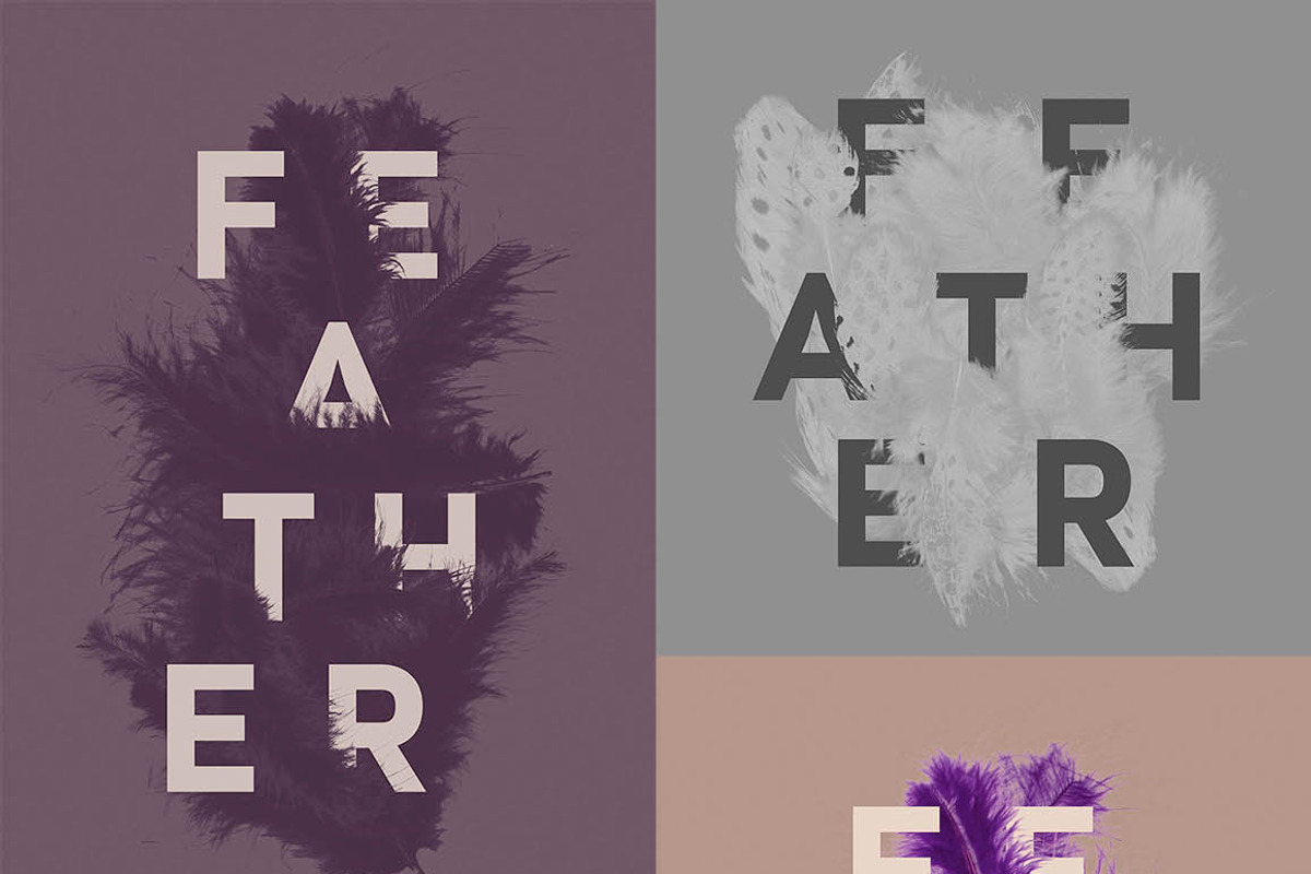 Feather Toolkit - Photos & Graphics, a Mockup by Cruzine (Photo 9 of 9)