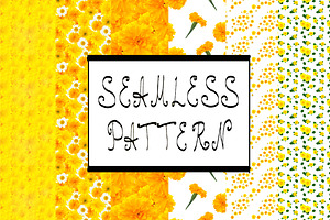 Seamless. Photography set