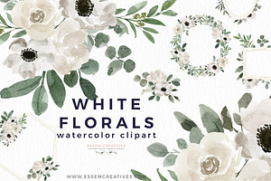 White Flowers Watercolor Background