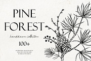 Pine forest line art collection, an Illustration by AfonshinaArt (Thumbnail 1 of 9)
