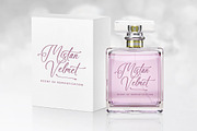 Anastasia Boutiques Beauty Script, a Script Font by Letterena Studios Script (Thumbnail 8 of 15)