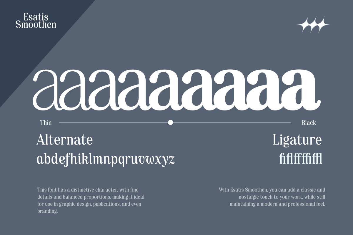 Esatis Smoothen - Serif Family, a Serif Font by Differentialtype (Photo 2 of 12)