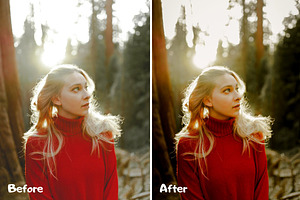 True Tone Lightroom Presets XMP/DNG