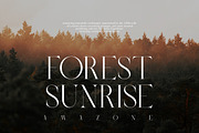 Parisiene | Modern Serif, a Serif Font by Muntab_Art (Thumbnail 7 of 10)